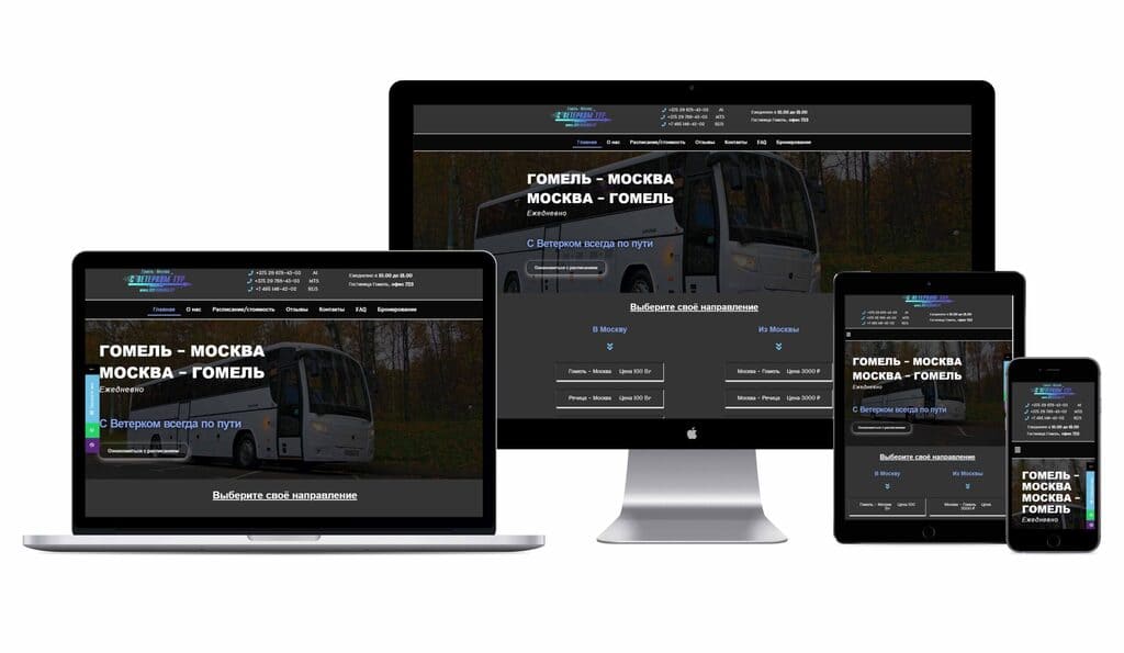 Website for a passenger transportation company